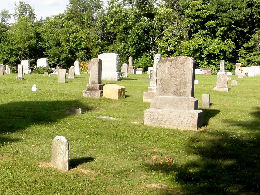 Prince Edward County council will explore possibility of pet cemetery