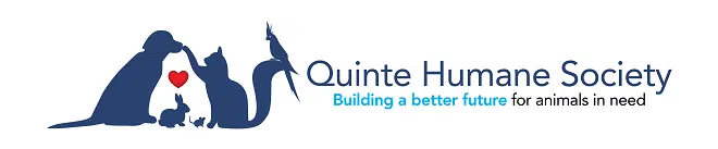 Update expected from Quinte Humane Society