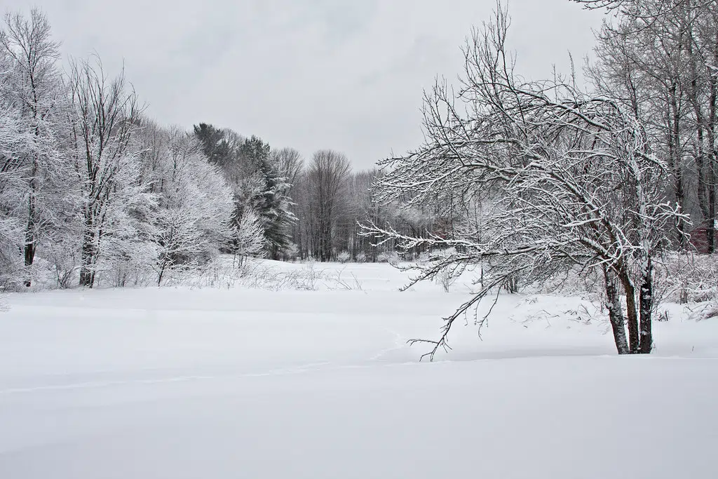 Snow expected Monday