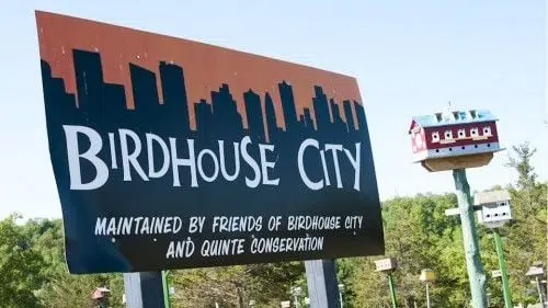 Volunteer group taking new approach to Birdhouse City