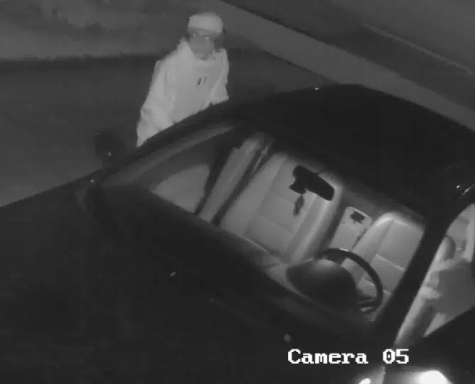 Belleville Police seeking assistance in identifying suspect in car theft