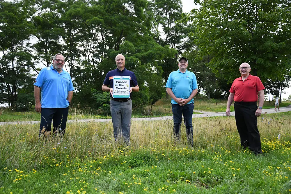 Belleville launches "Let It Grow" campaign in local parks and public spaces