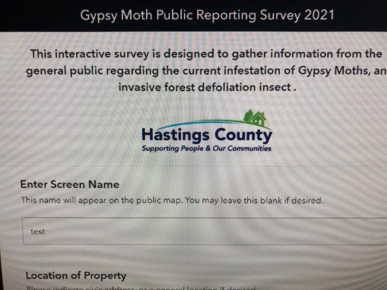 Hastings County launching Gypsy Moth tracker