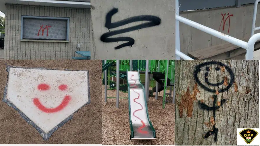 Graffiti investigation in Napanee