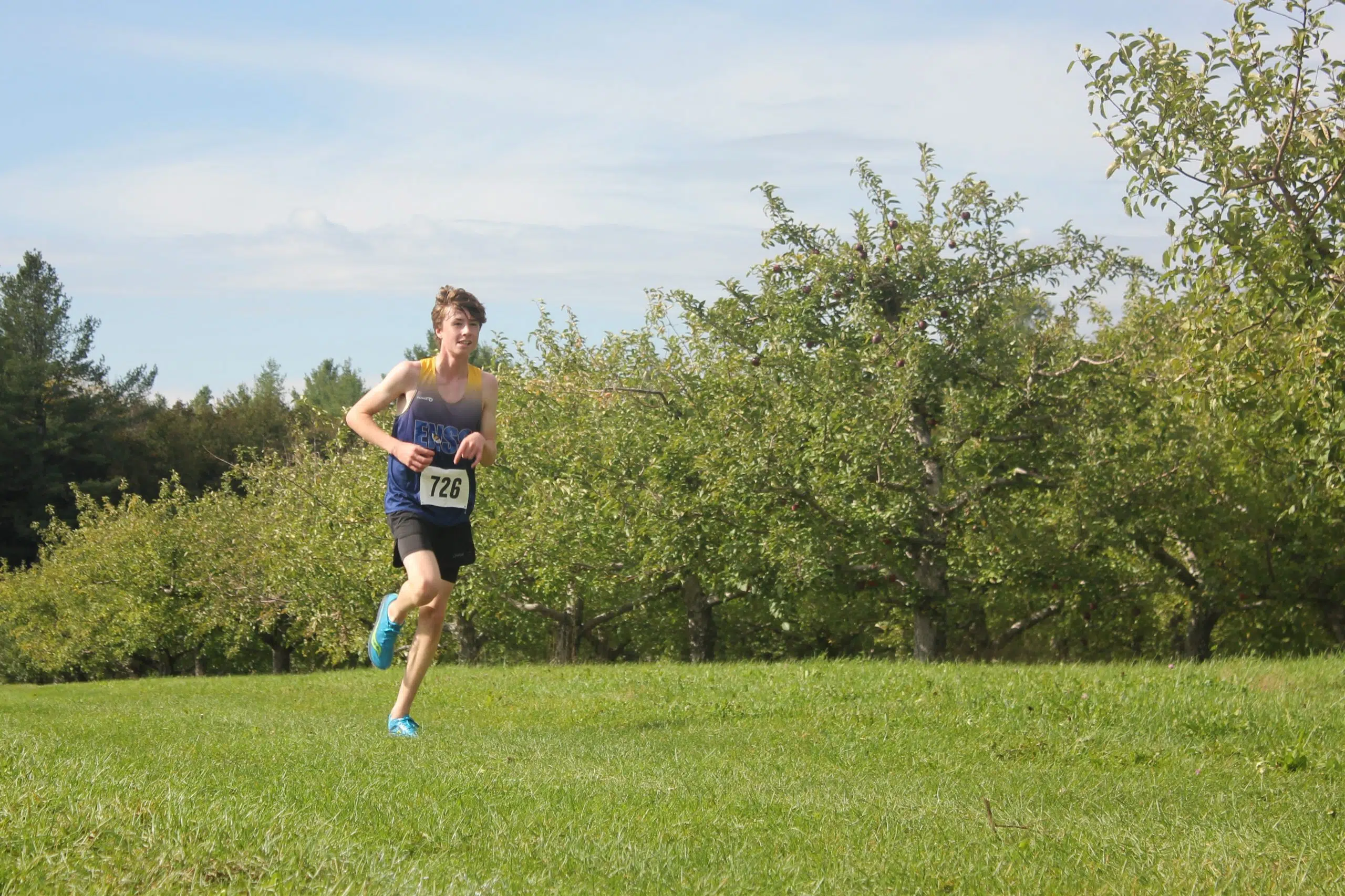 Blue Dragons dominate X-country