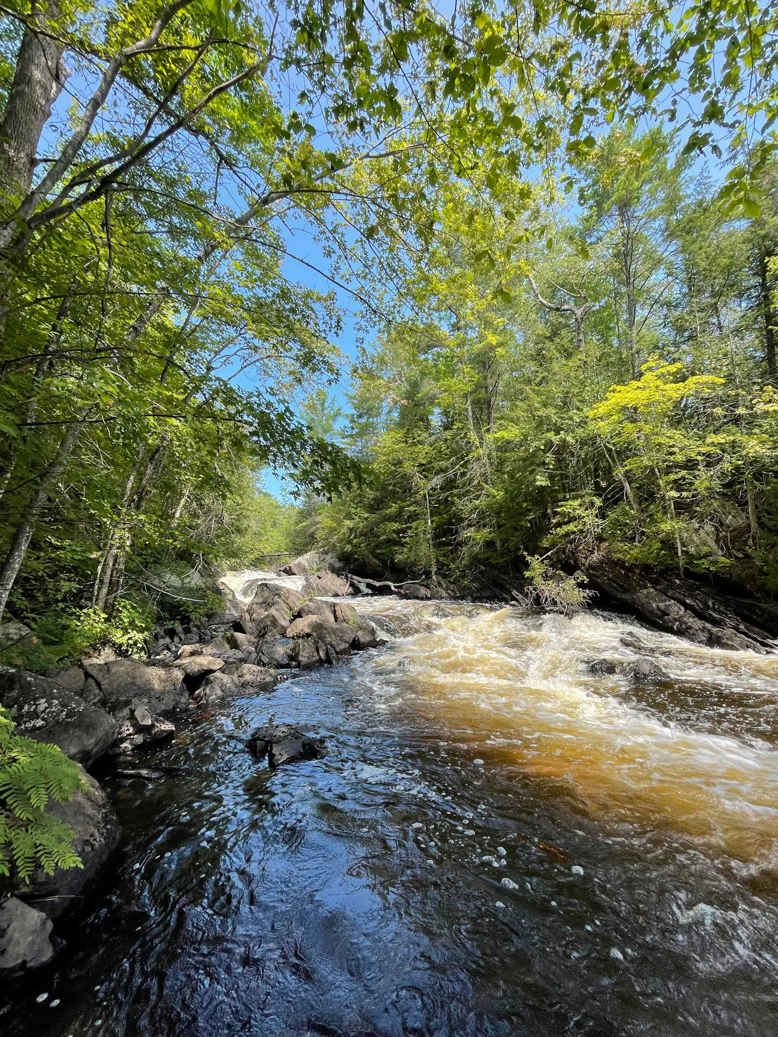 Large parcel of land near Bancroft now protected