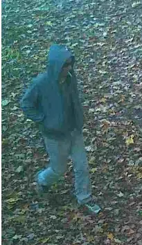 Bancroft OPP seeking suspect in break and enter