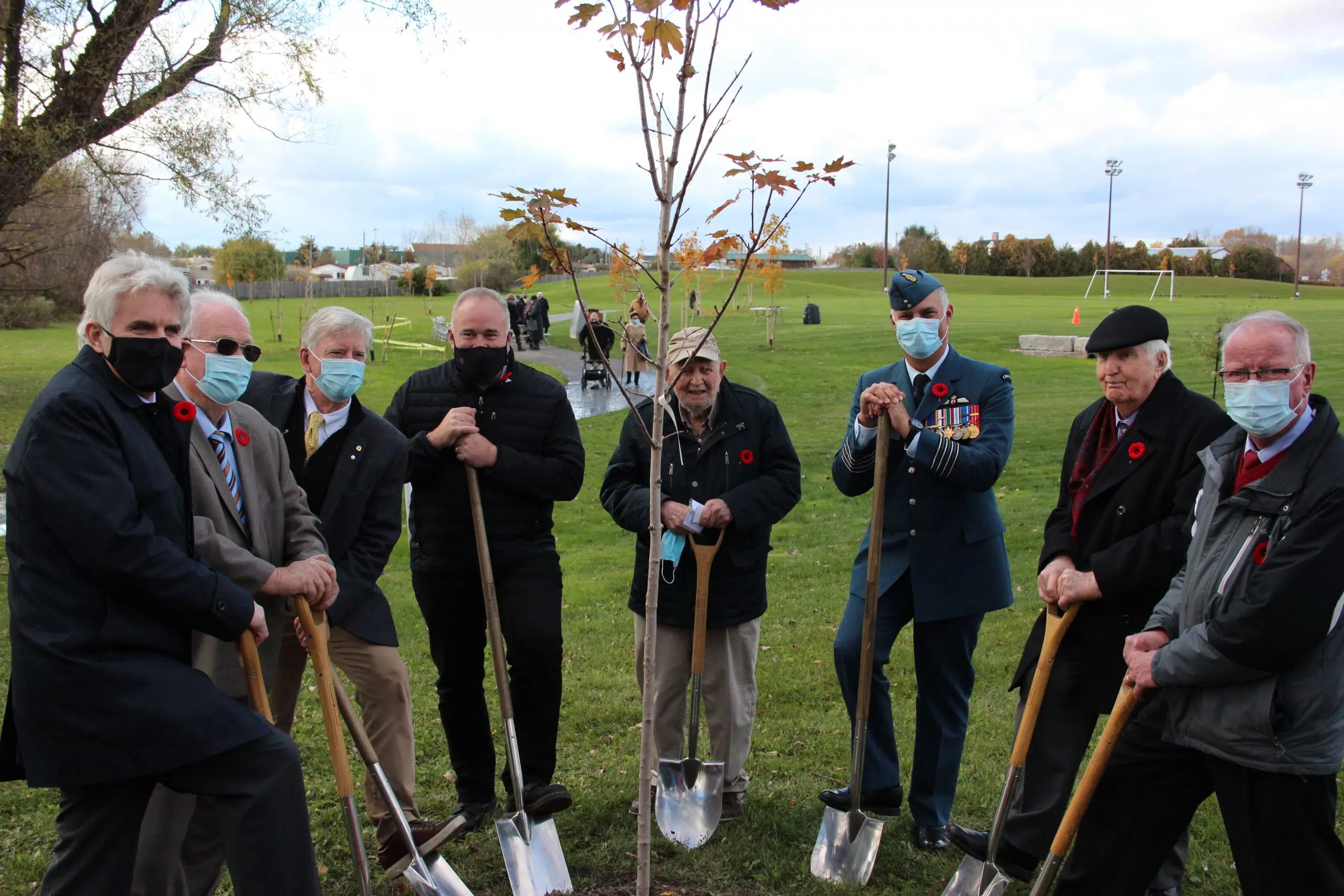 Highway of Heroes Tree Campaign honours Canadian Armed Forces