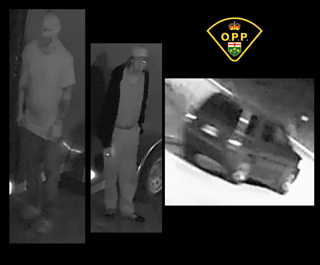 QW OPP asking for public's help with theft investigation