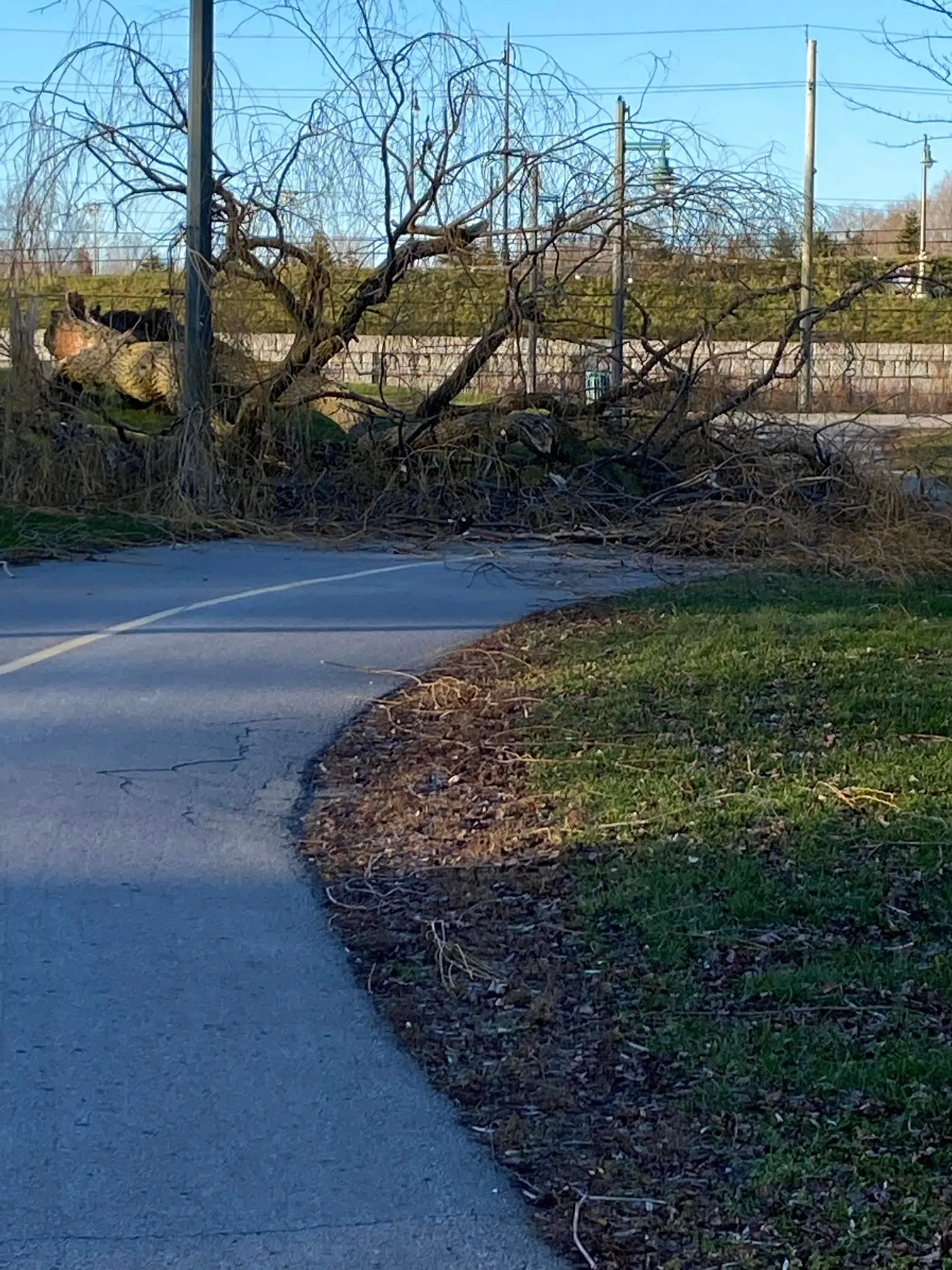 Strong winds in store Thursday