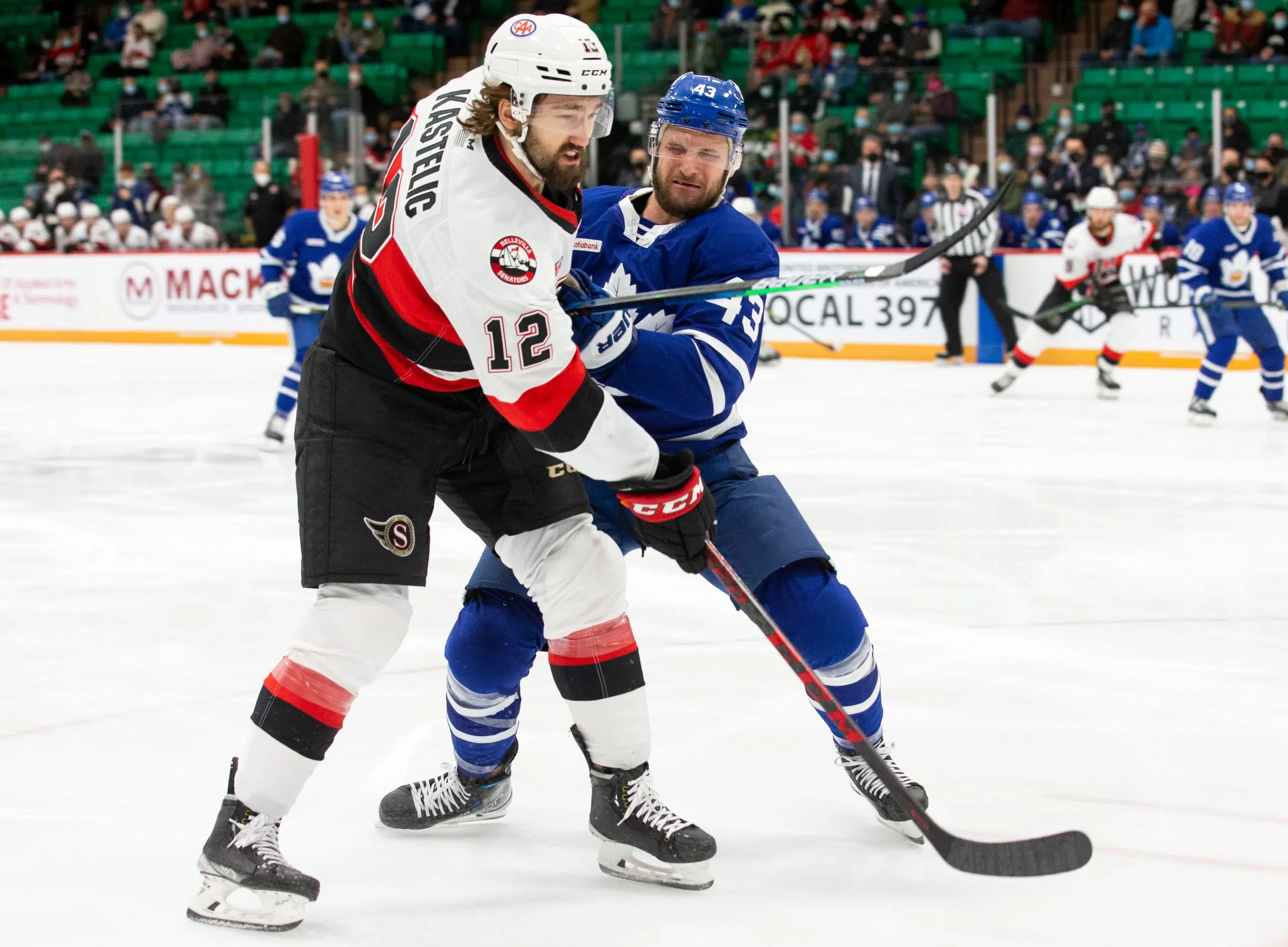 B-Sens deserve better in loss to the Marlies