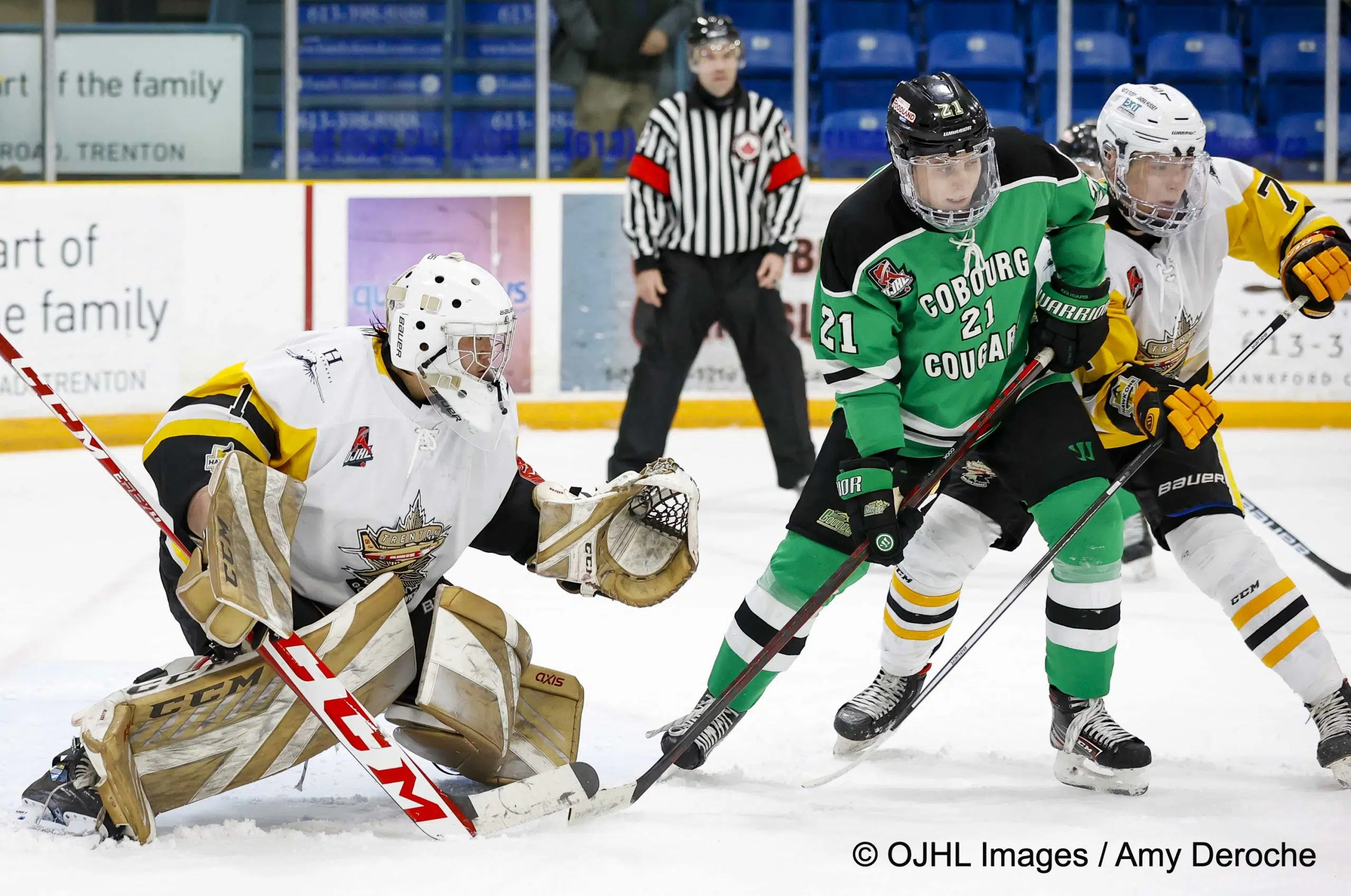 Golden Hawks, Raiders and Rebels all fall