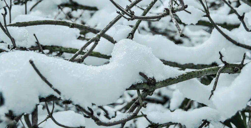 Winter weather travel advisory for Thursday