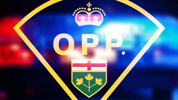Officers assaulted in Deseronto