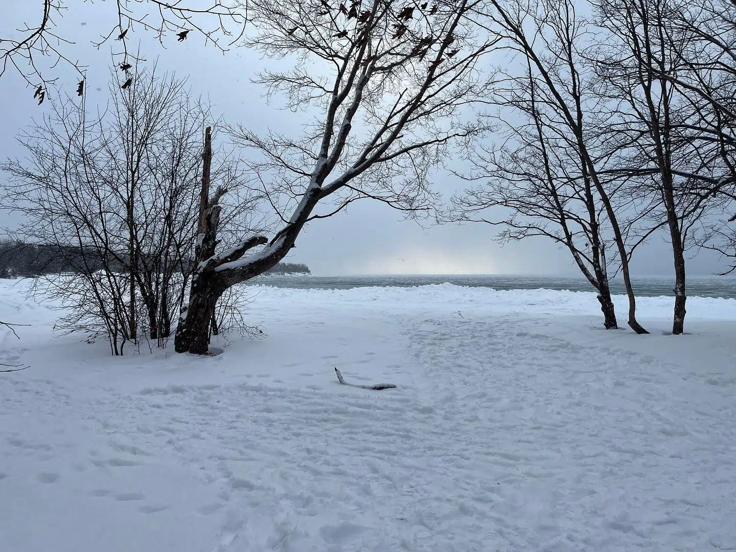 New conservation reserve proposed for Prince Edward County