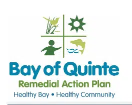 Bay of Quinte continues to improve under Remedial Action Plan