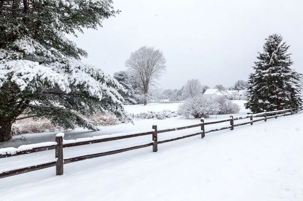 Special weather statement issued by Environment Canada