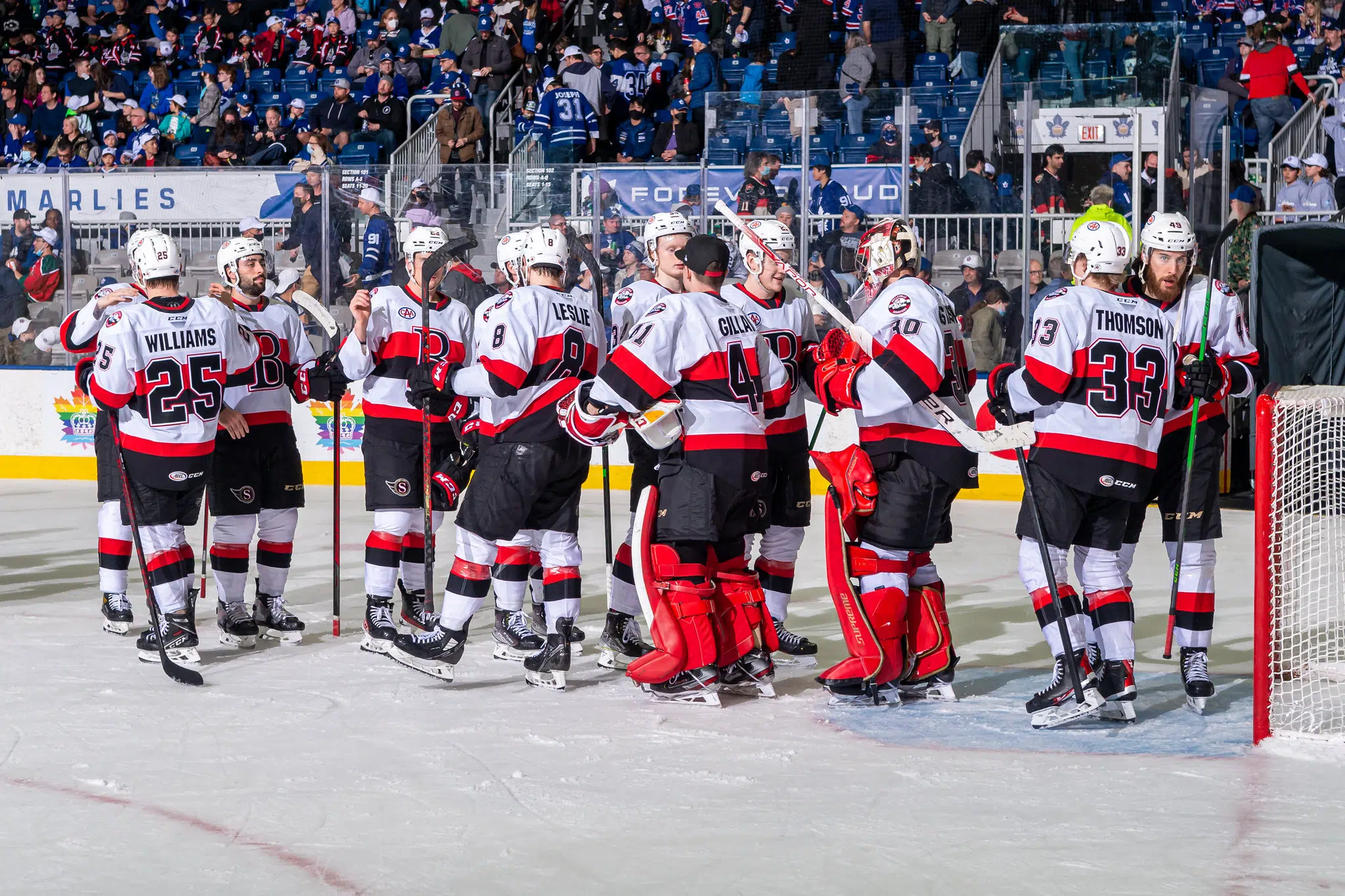 B-Sens in Calder Cup playoffs