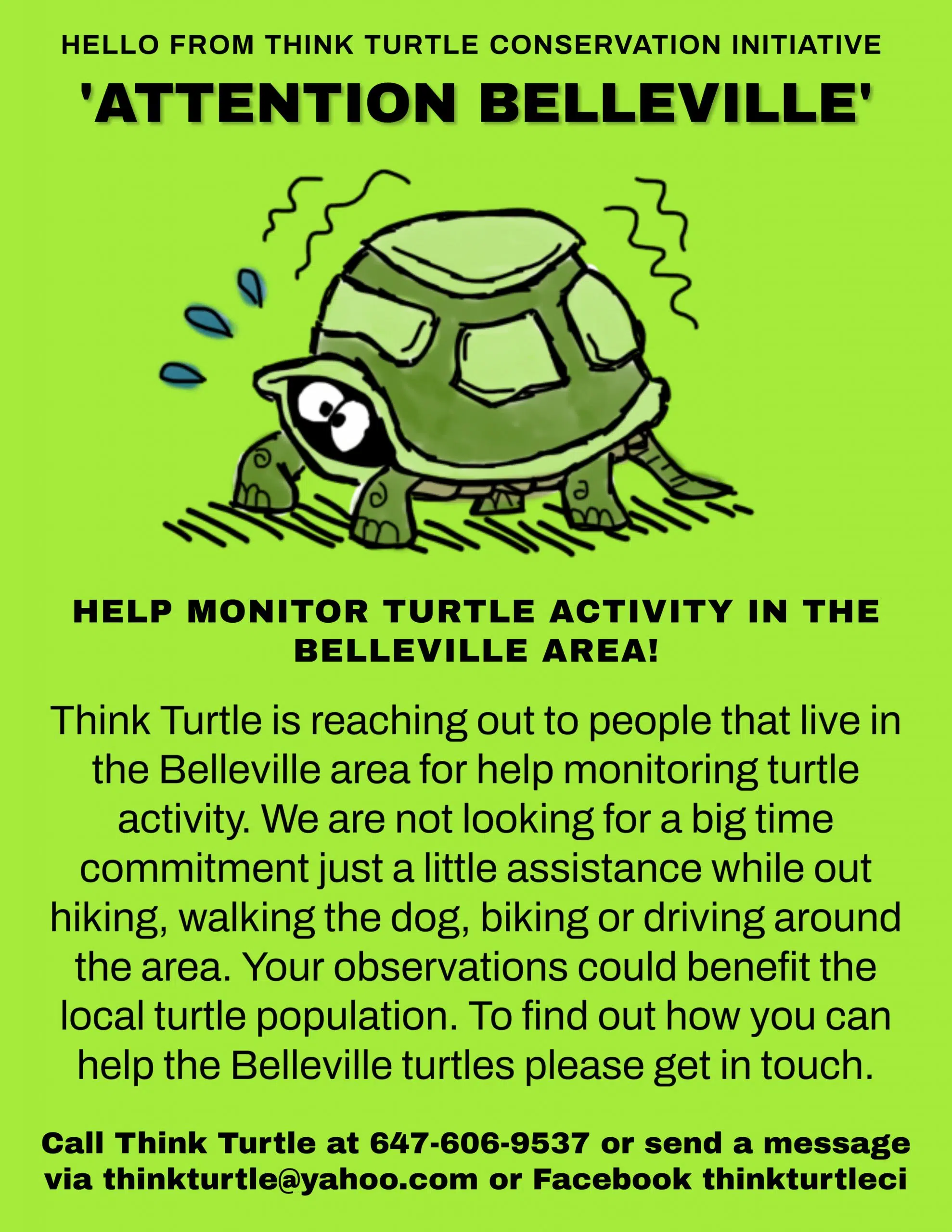 RELEASE: Turtle monitors wanted