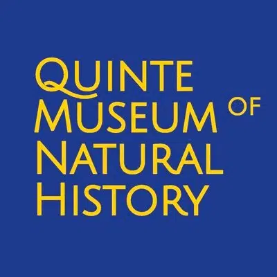 10,000 people attended Quinte Museum of Natural History since opening