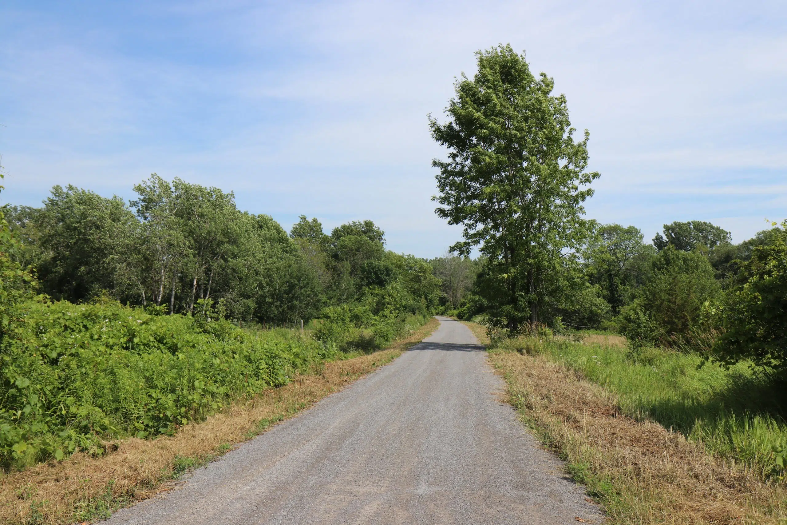 Military training on Millennium Trail on August 9th