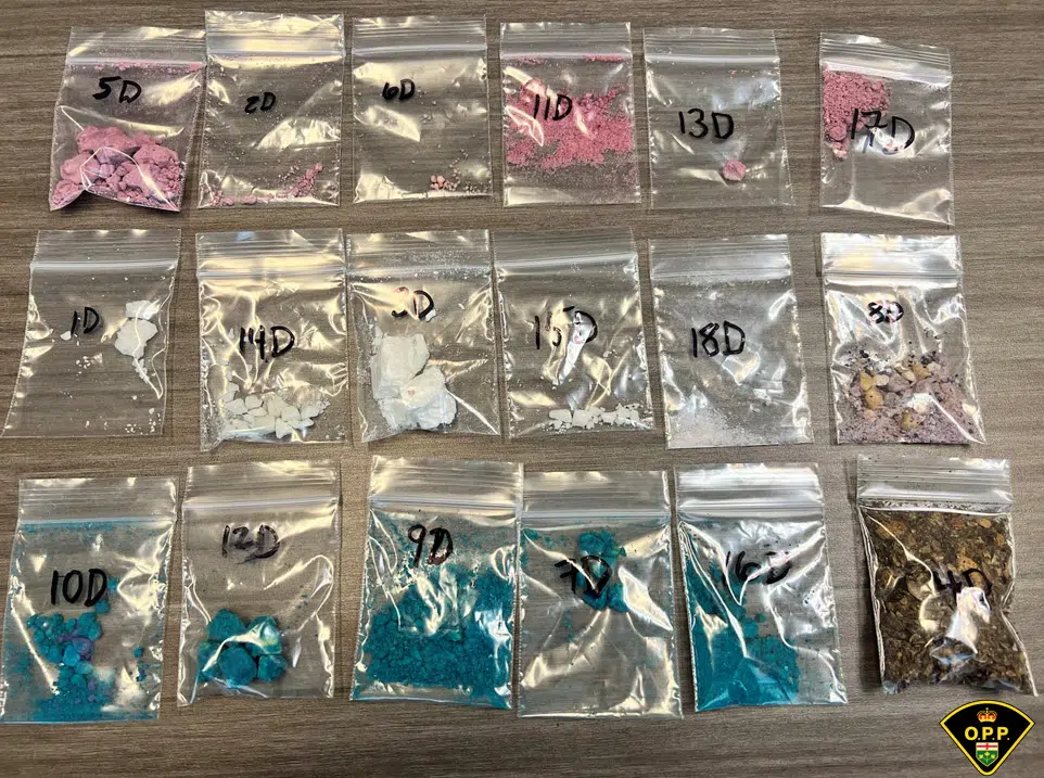 Ten charged after drugs, stolen property seized in Bancroft