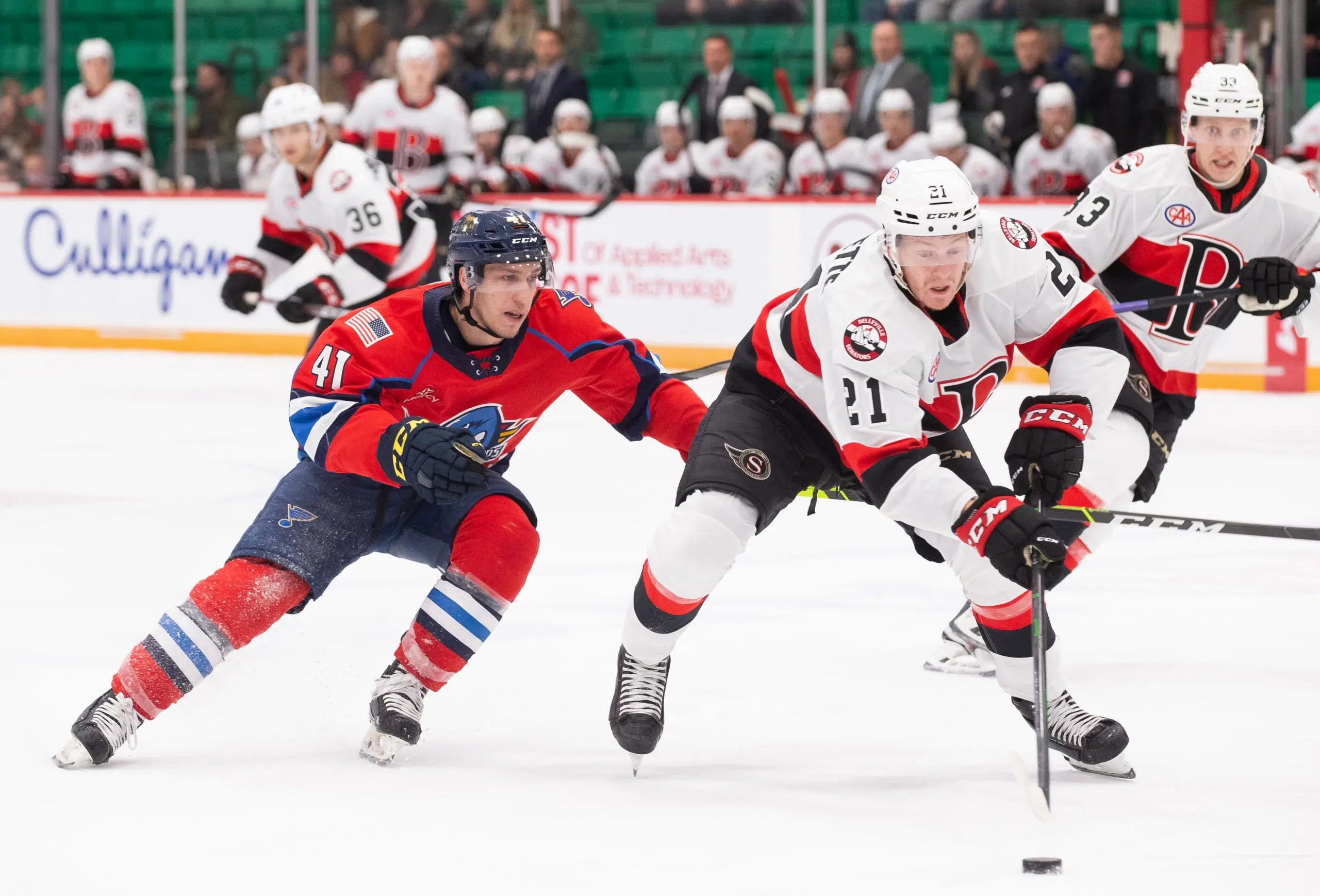 Belleville Senators lose second home game