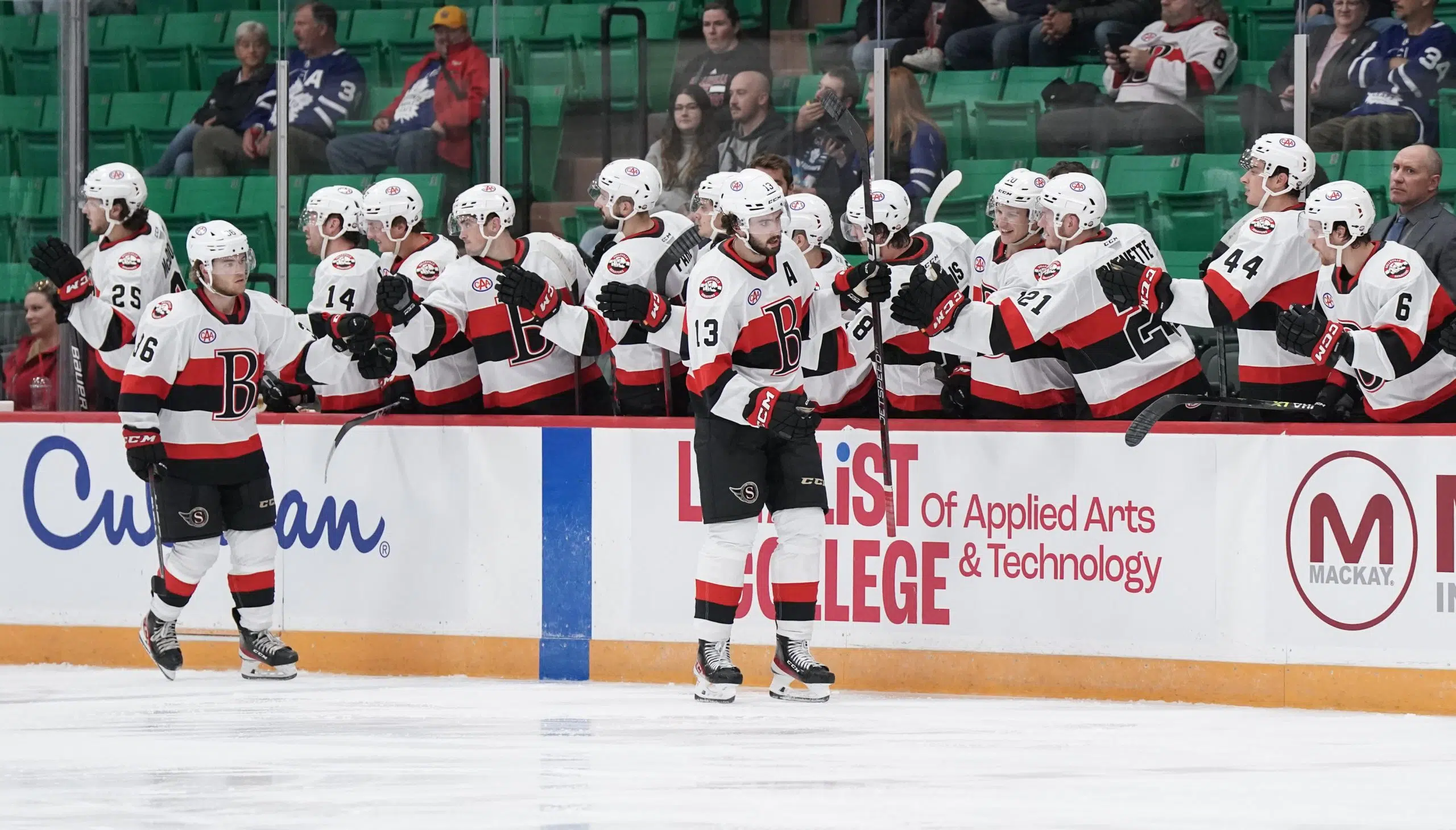 Belleville Sens play against Toronto Marlies in pre-season game