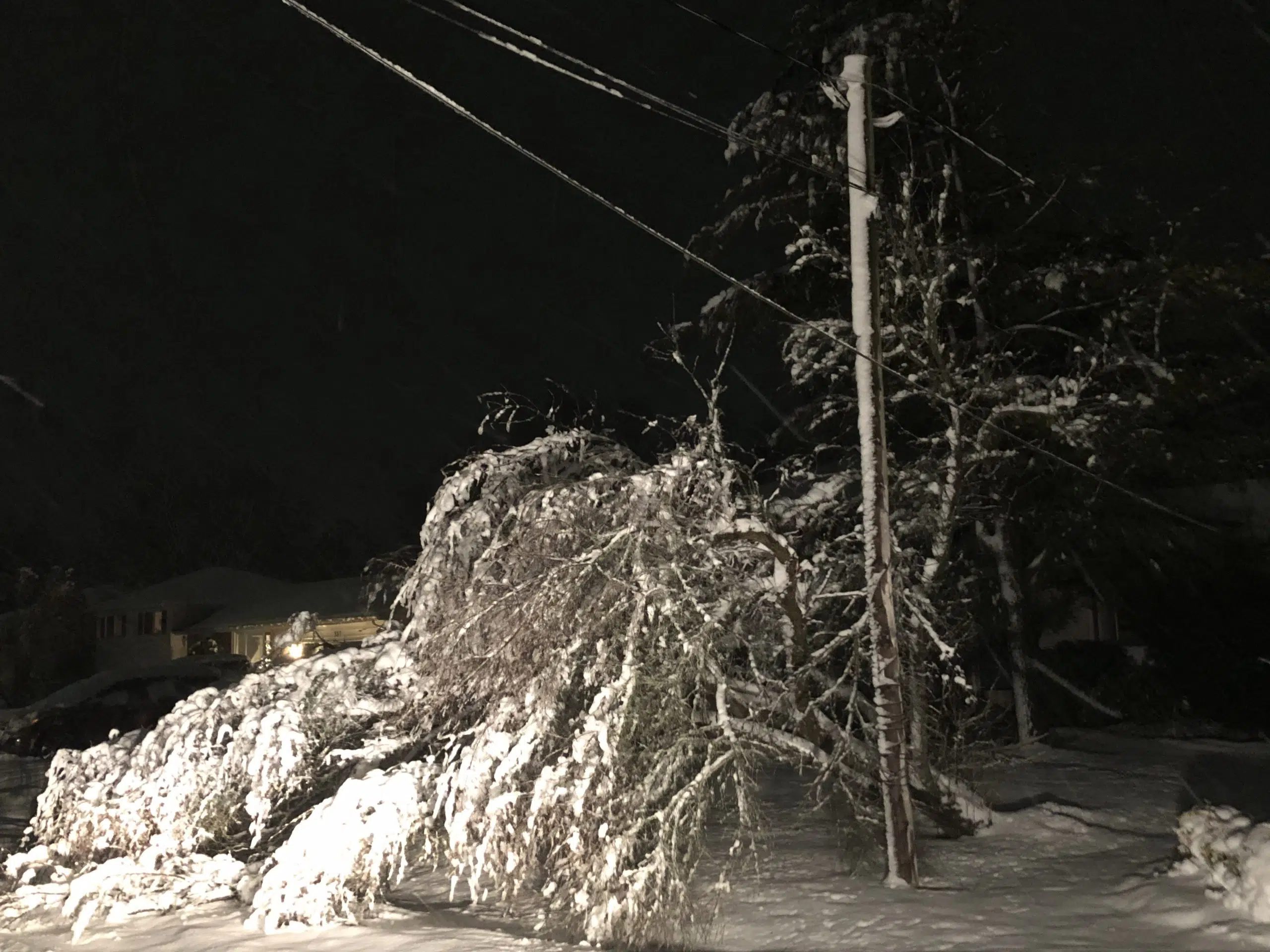 Heavy winter storm hits Quinte