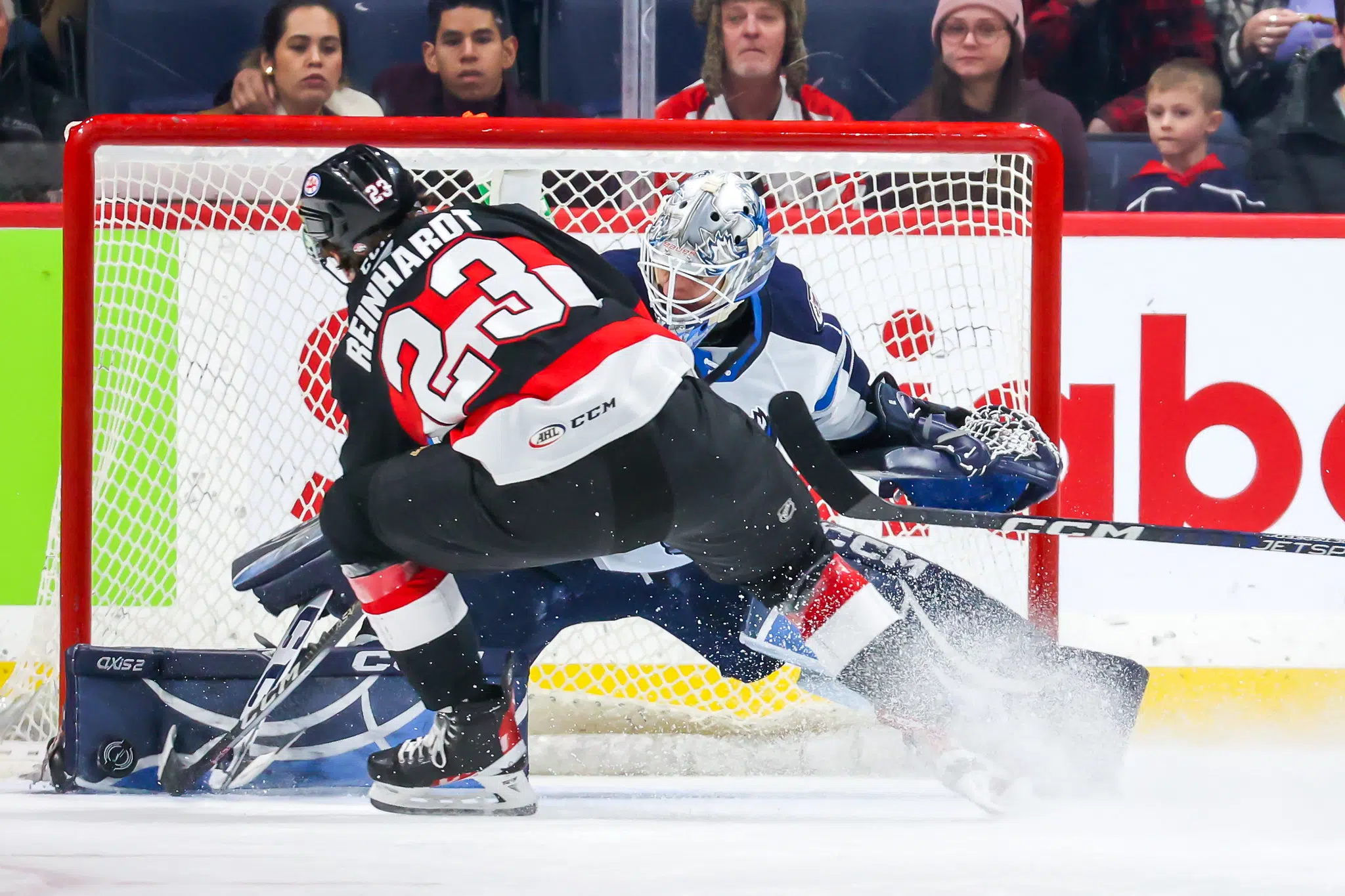 Manitoba Moose defeat Belleville Senators