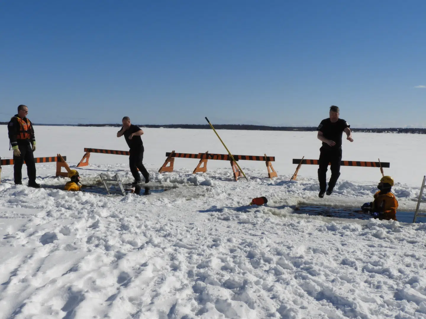 Significant growth for this year's Polar Plunge