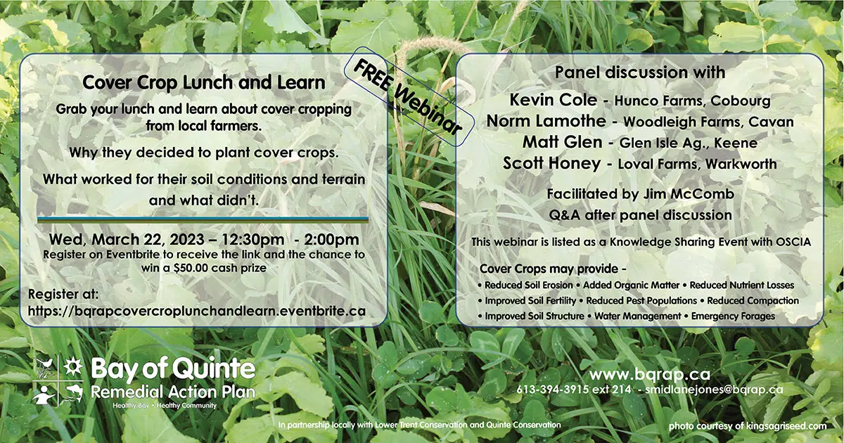 Farmers invited to free webinar on cover crops