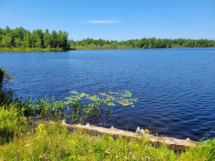 Nature Conservancy of Canada: Another win for nature