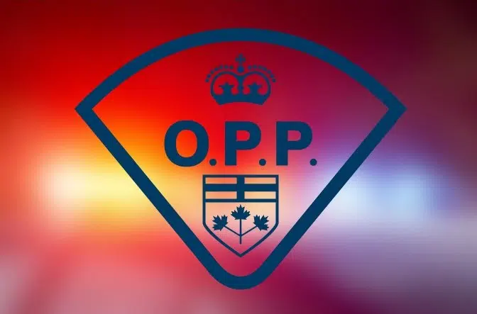 Vehicles entered in Napanee area