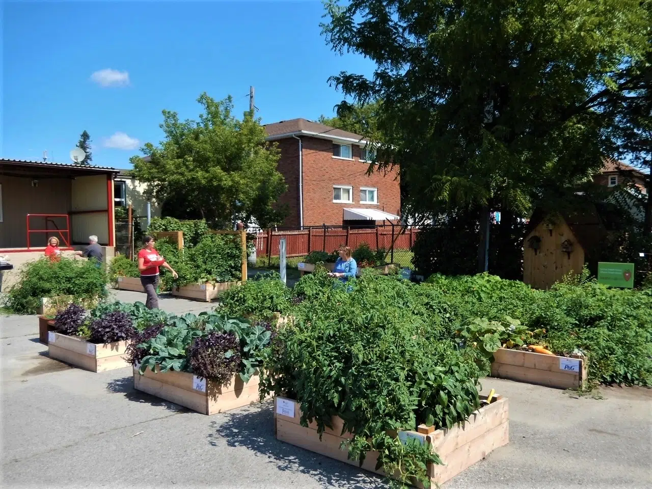 Registration for 2023 Community Garden Program now open