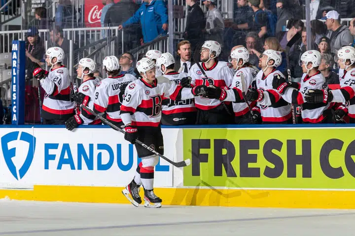 Senators defeat Marlies