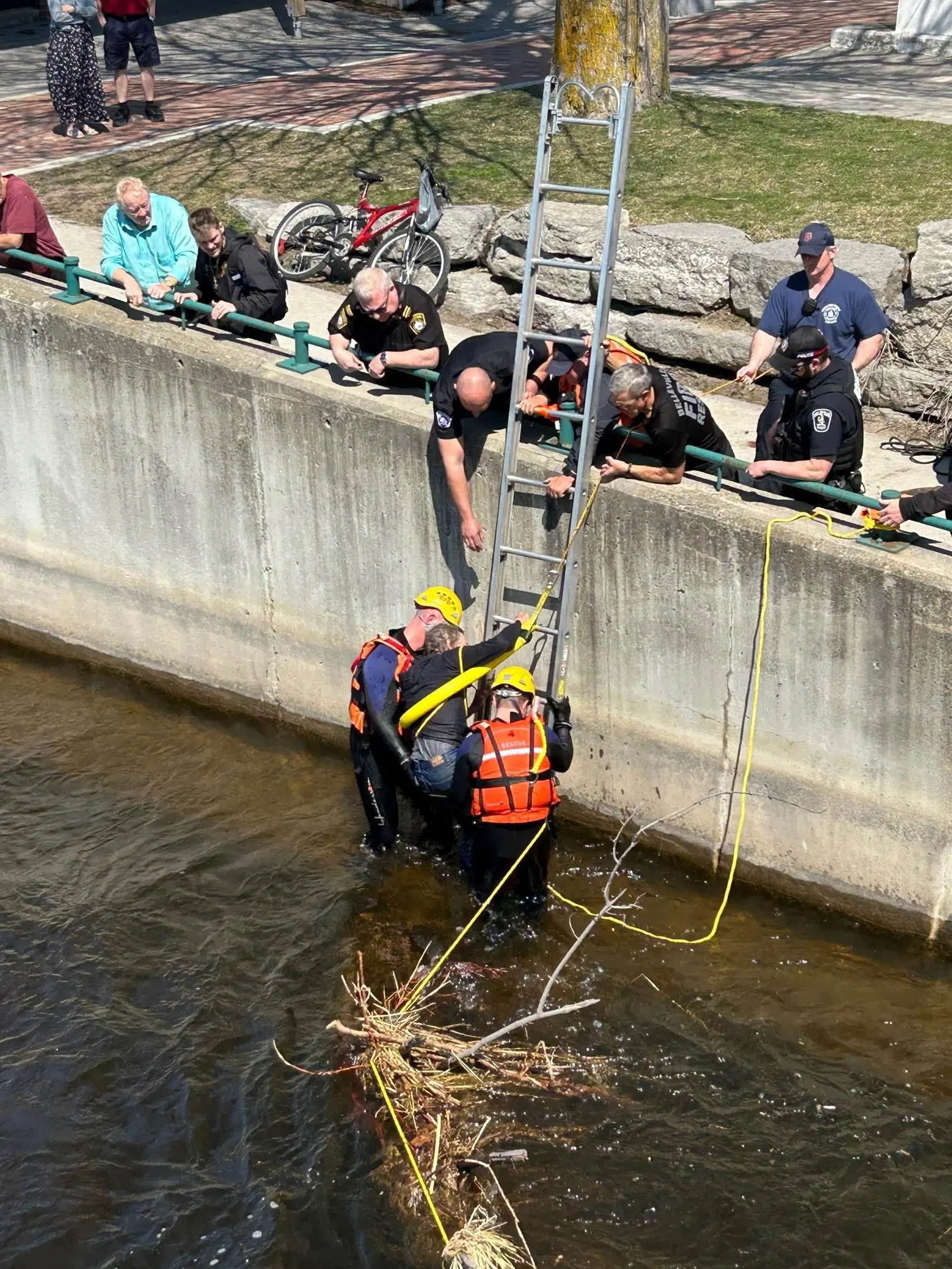 Cyclist rescued from Moira River