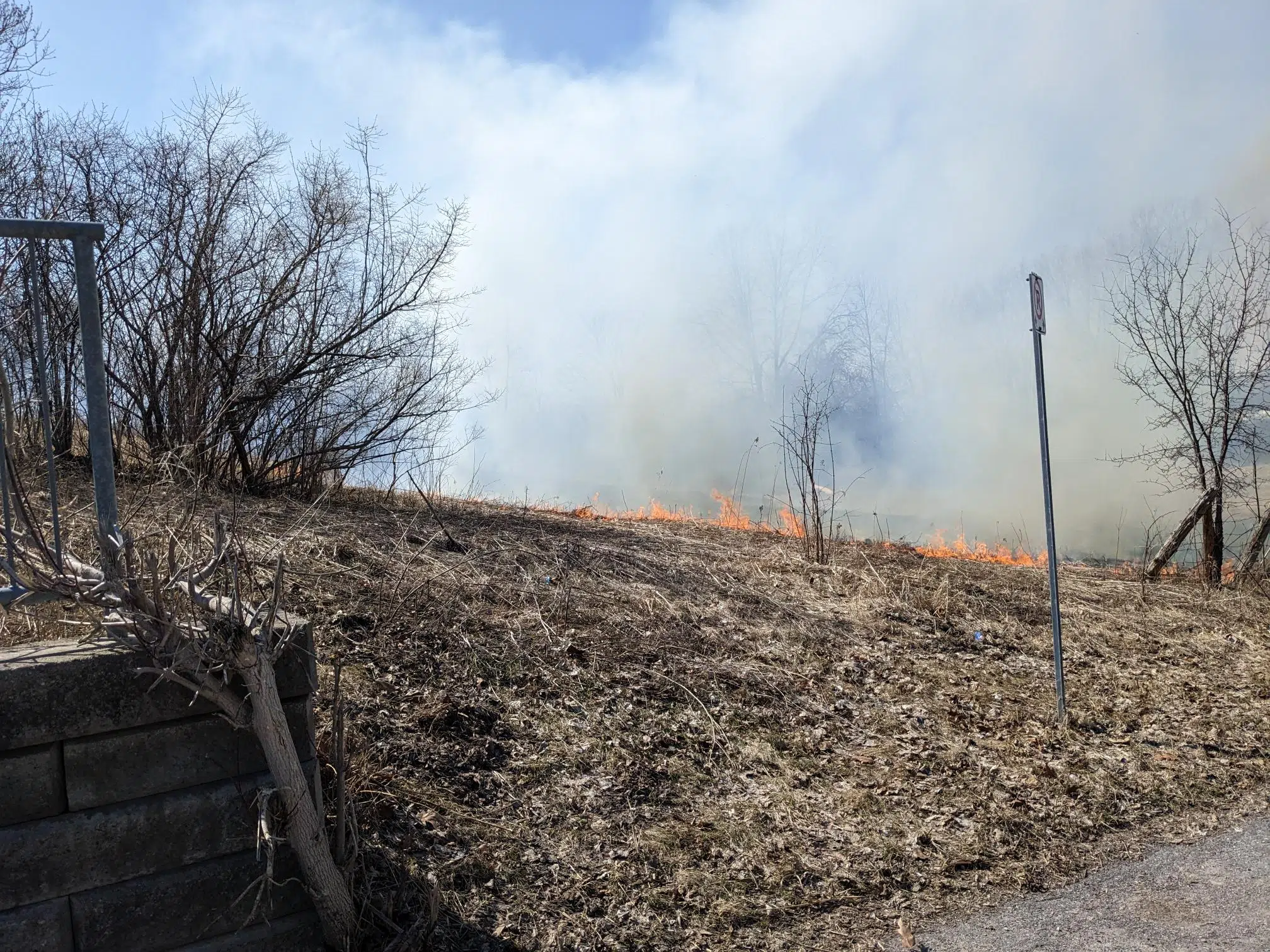 Grass fire on Herchimer Avenue