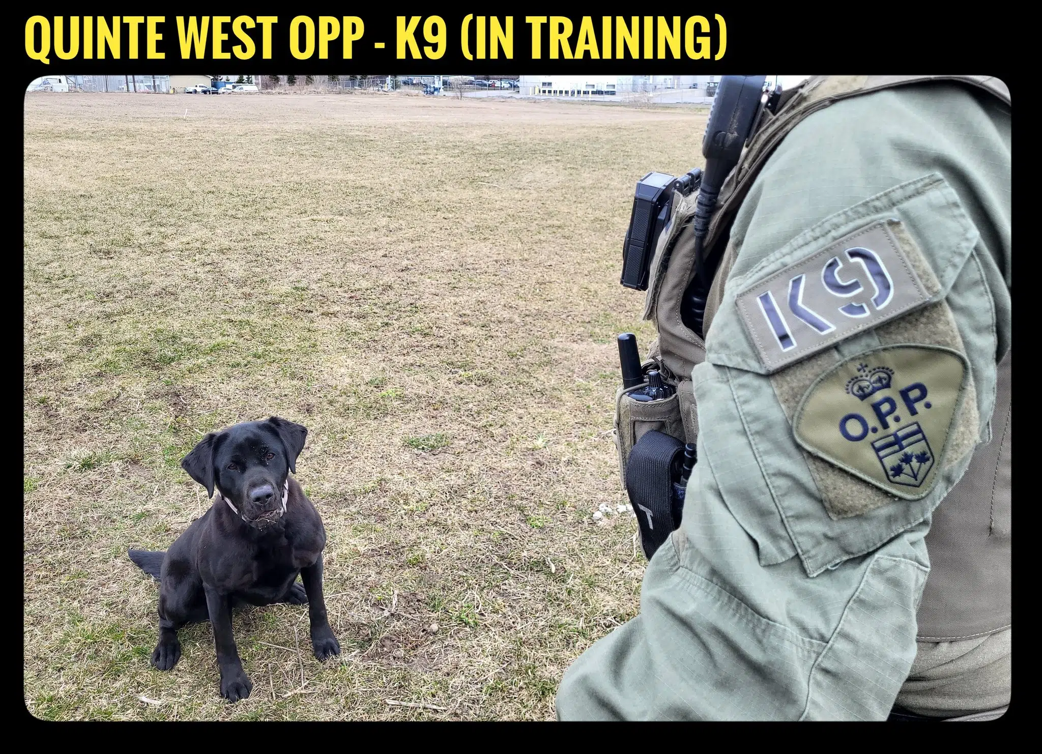 Meet Quinte OPP's newest recruit