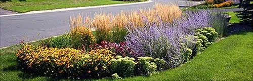 BQRAP offering grants for rain gardens.