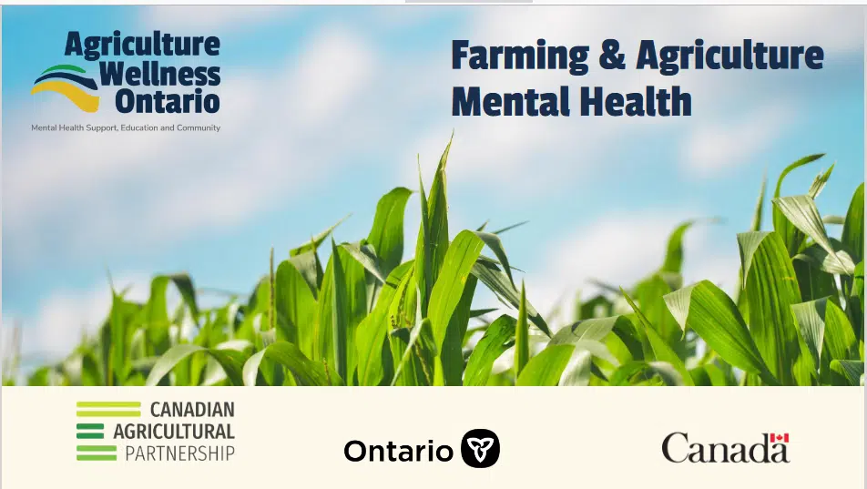 Making mental health and well-being a priority for farmers