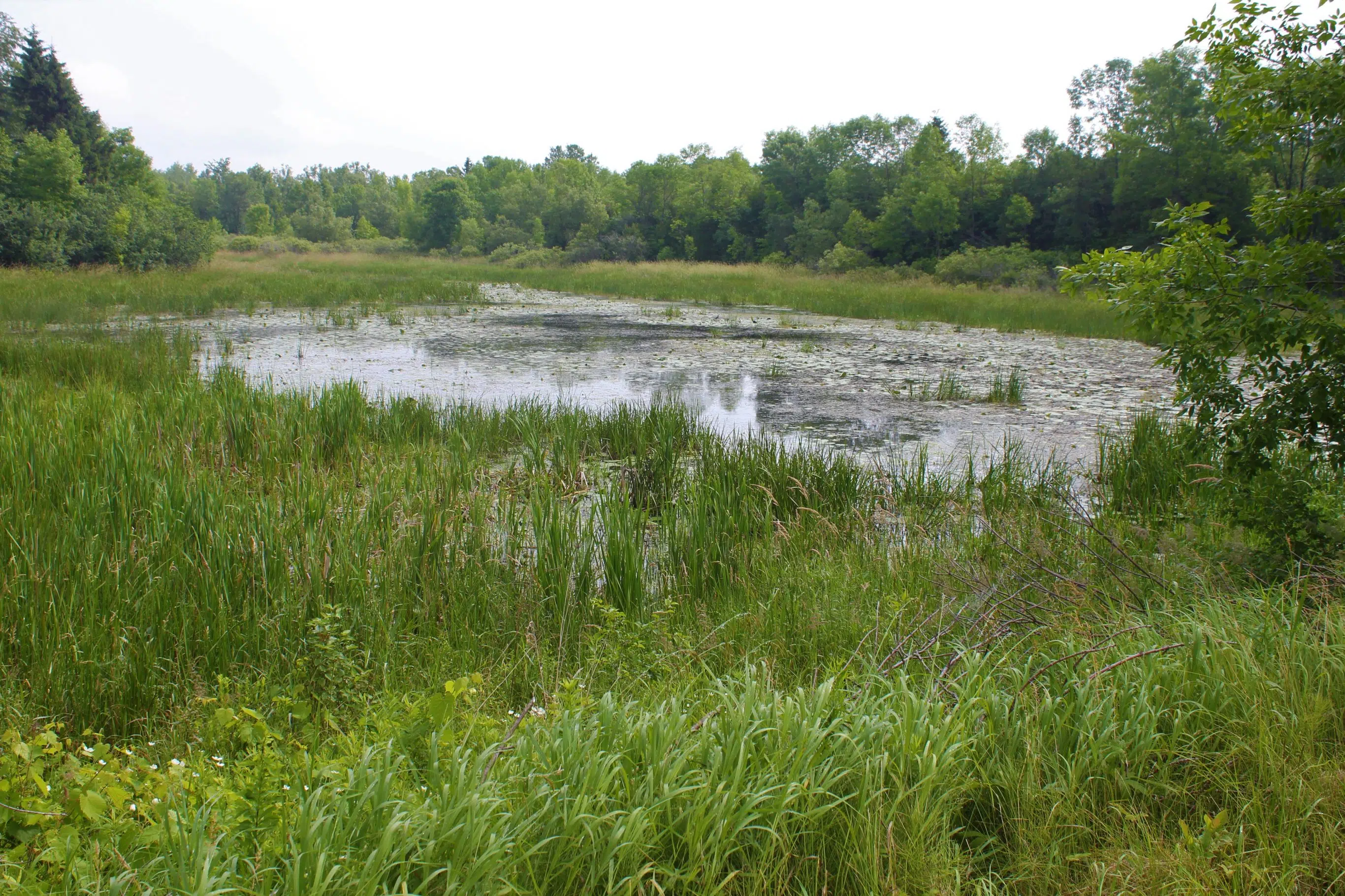 Brighton landowner found guilty on three Conservation Authorities Act charges