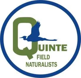 Quinte Field Naturalists accepting applications for Youth Summit for Mother Earth