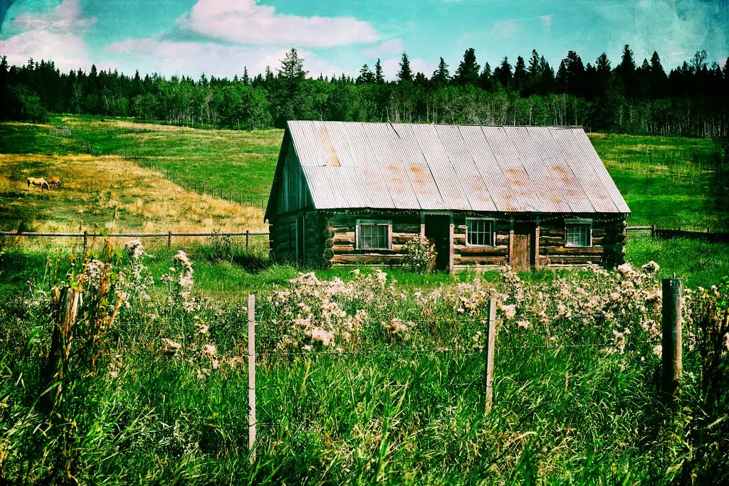 A Bioblitz on the August long weekend