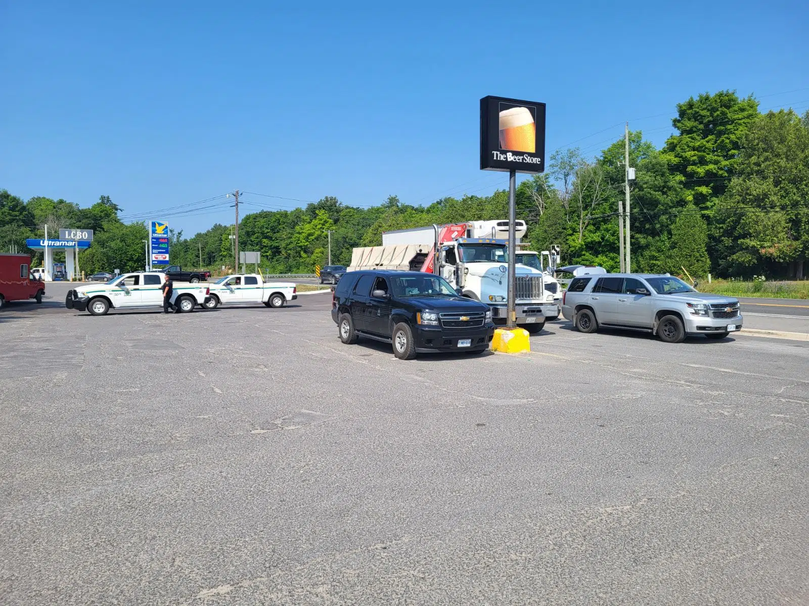 Police blitz pulls vehicles from the road