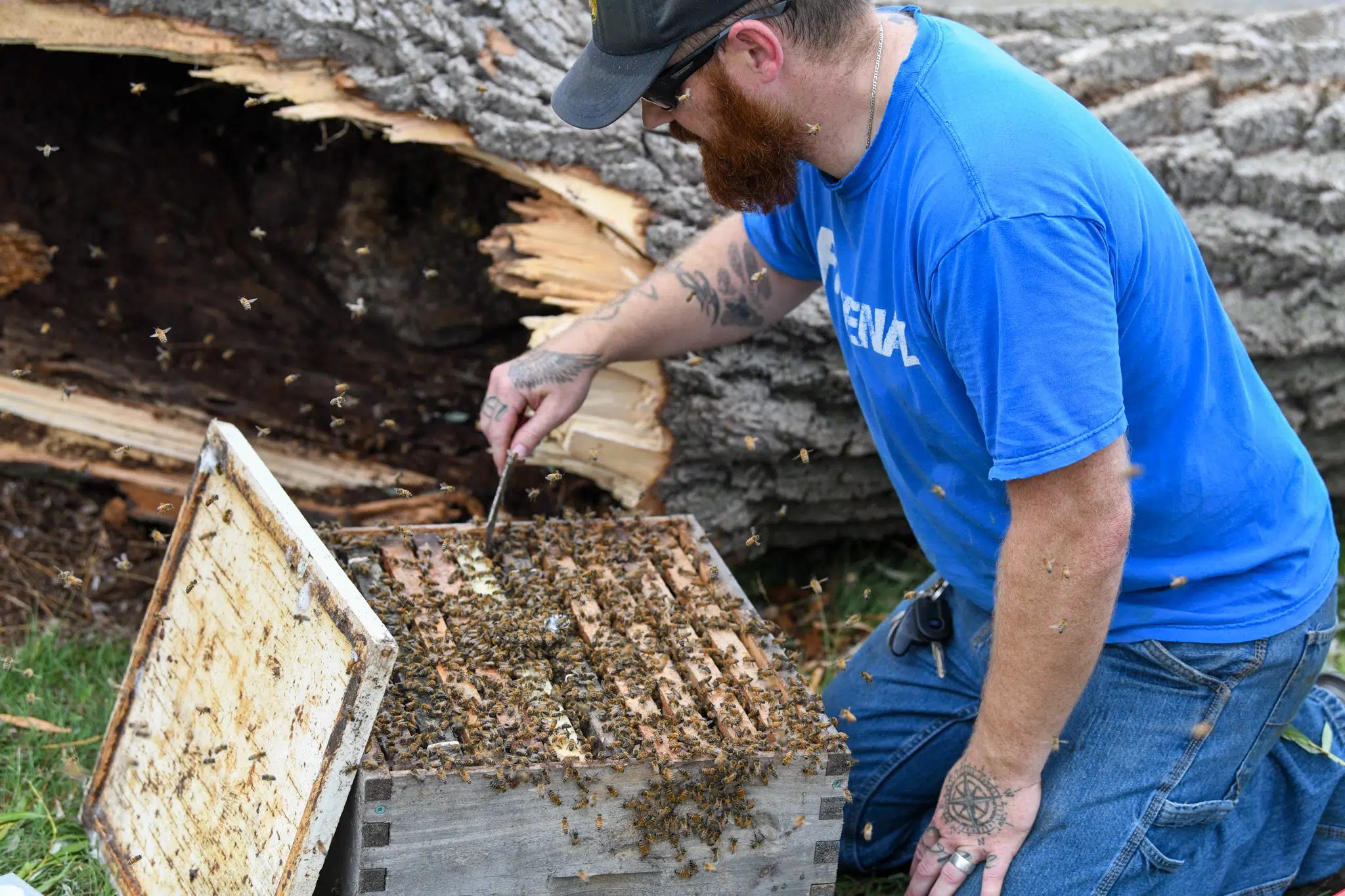 Doing it for the love of bees