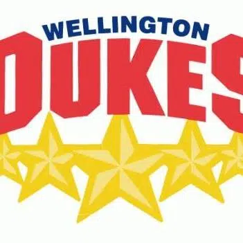 Wellington Dukes seek county sponsorship deal