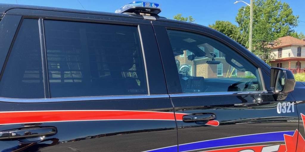 Theft and weapon charges, pedestrian struck - Vimarsana News