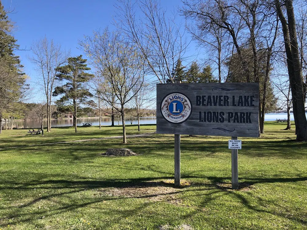 Beaver Lake shoreline restoration