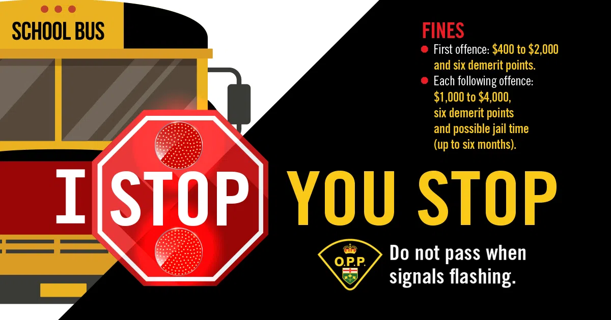 Obeying school bus signals is important